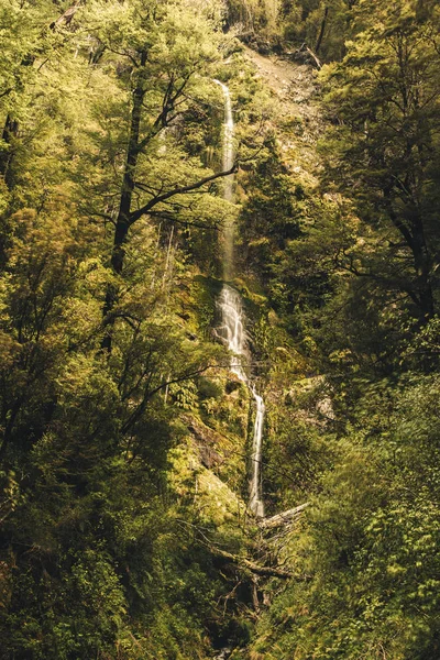 Şelale yeşil ağaçlar arasında — Stok fotoğraf