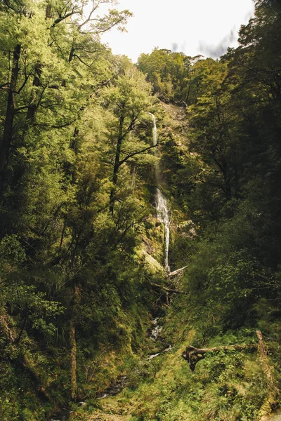 Vodopád mezi zelenými stromy — Stock fotografie