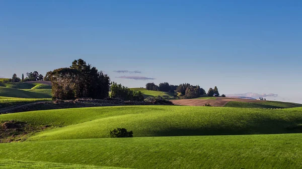 Natureza colinas verdes com céu azul na Nova Zelândia — Fotografia de Stock
