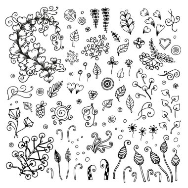 Çiçekler, meyveler, spiraller, yaprakları vektör çizim zentangle kümesi