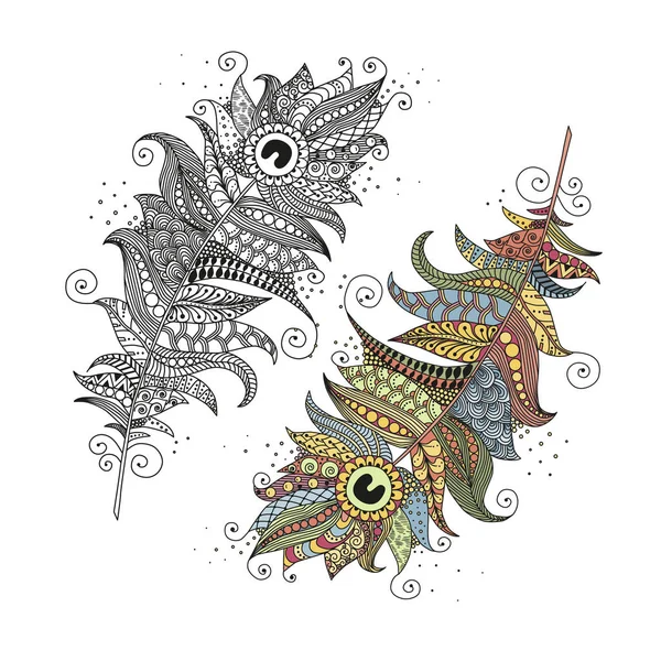 白色背景上的手绘制的 zentangle 羽毛 — 图库矢量图片