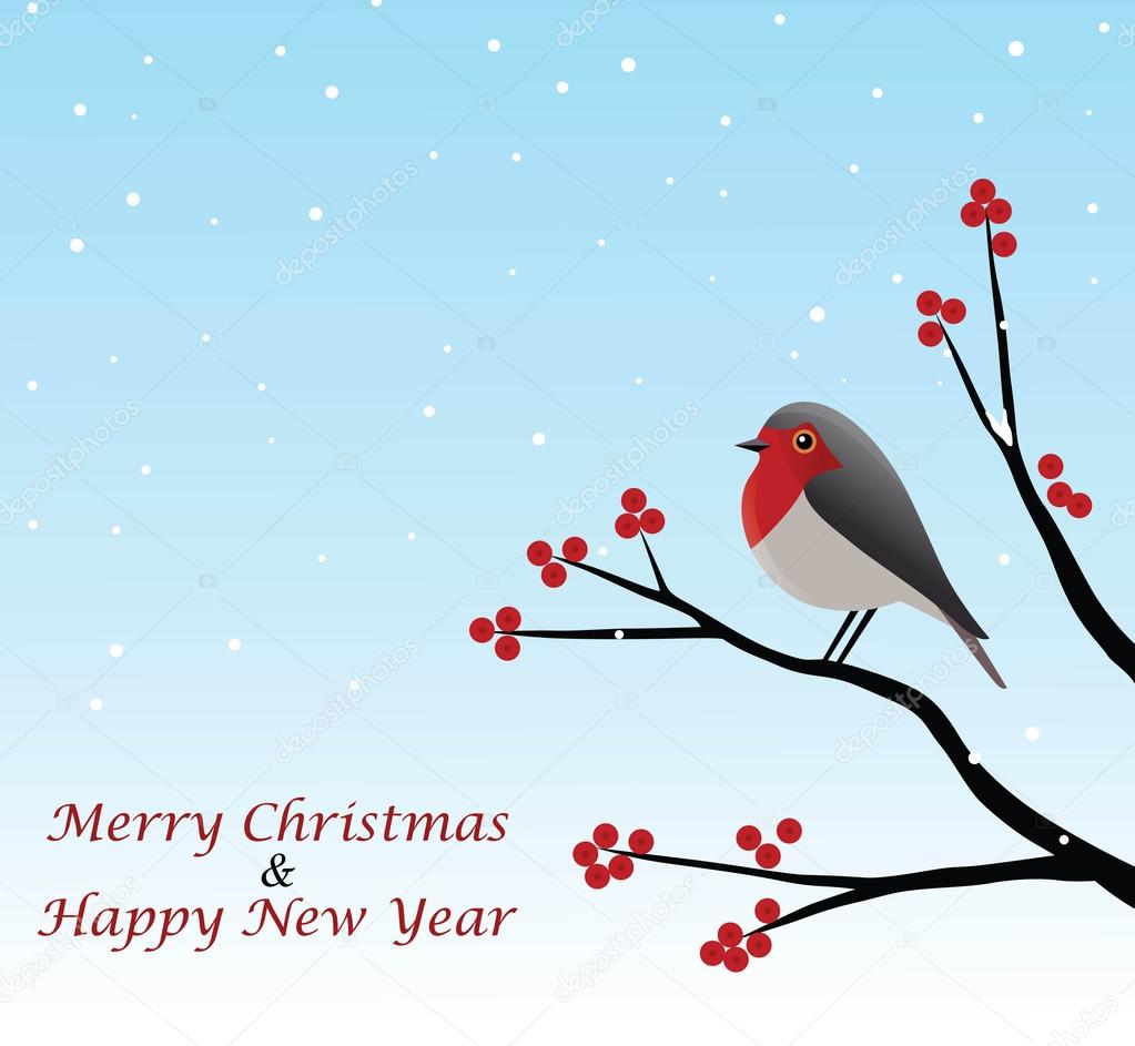 Christmas Greeting With Red Robin Sitting On Branch 