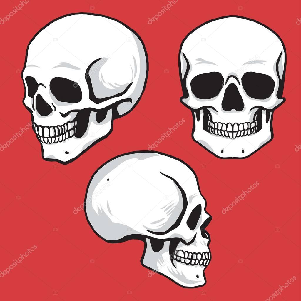 Skull Set in Hand Drawing Style