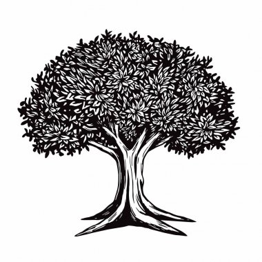 Ağaç vektör çizim Logo şablonu 