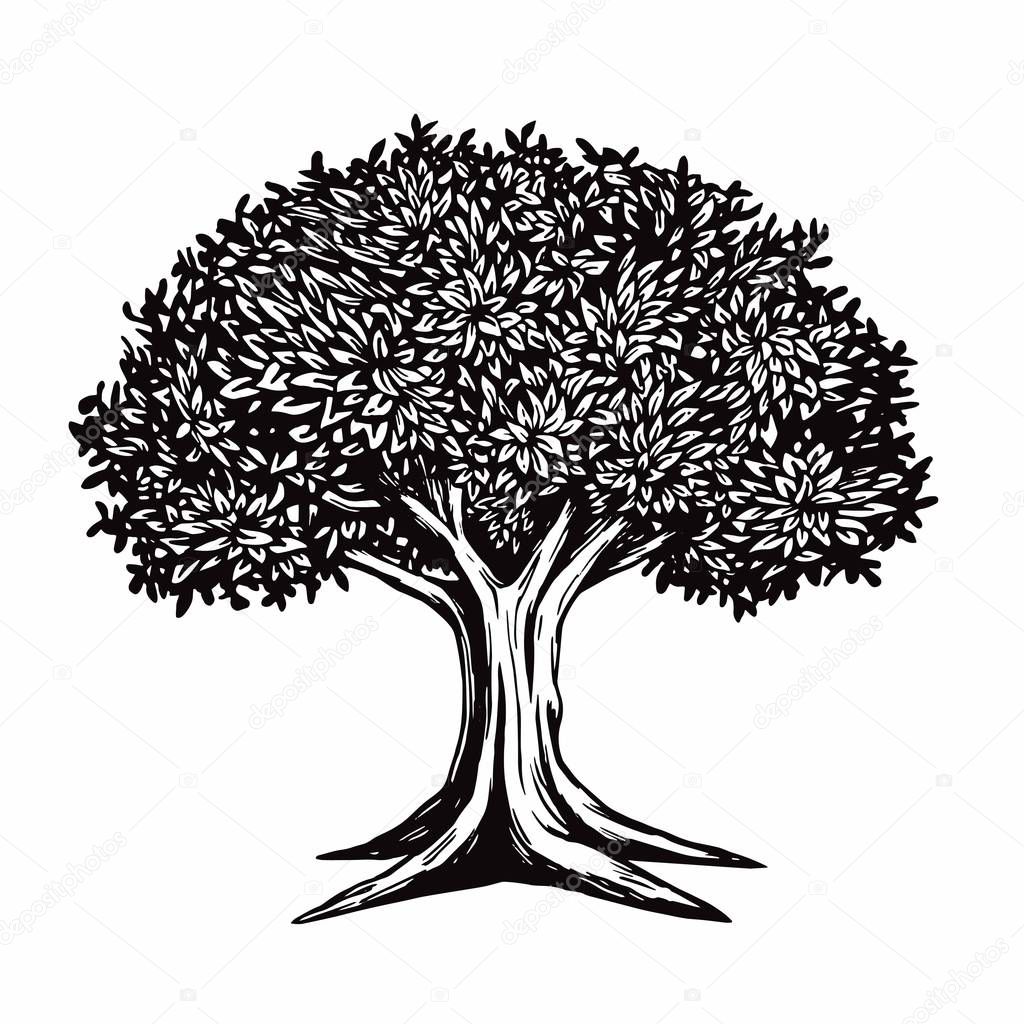 Tree Vector Illustration Logo Template 