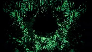 Flying In Jungle Swiss Cheese Plant is motion footage for adventure films and cinematic in junggle scene. Also good background for scene and titles, logos.