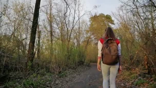 Ela viaja pela floresta — Vídeo de Stock