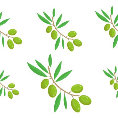 Zeytin dalı ile kusursuz desen. Zeytinyağı. - Evet. Zeytin süsü. Kağıt tasarımı.