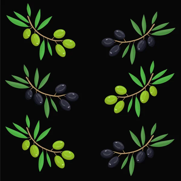 Kusursuz desen. Vektör zeytin dalı. Zeytinyağı. Siyah ve yeşil zeytin dalı. Zeytin süsü. Kağıt tasarımı