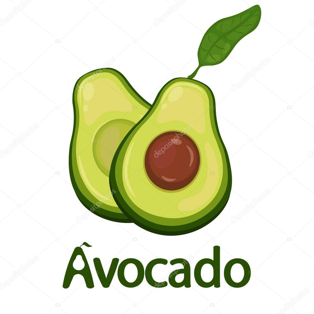 avocado illustrations isolated on white background. Fruit, seed, leaf. Vegan food vector icons in cute colorful cartoon vector illustration.