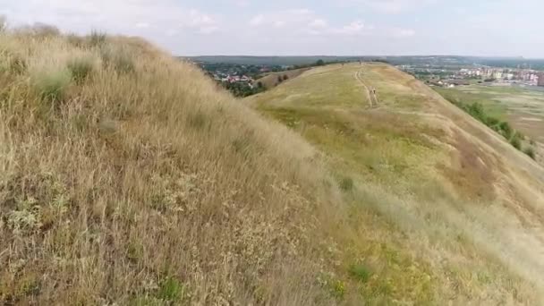 Serpentine trees in ukraine. — Stock Video