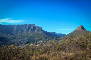 Cape Town, Güney Afrika 'daki Masa Dağı