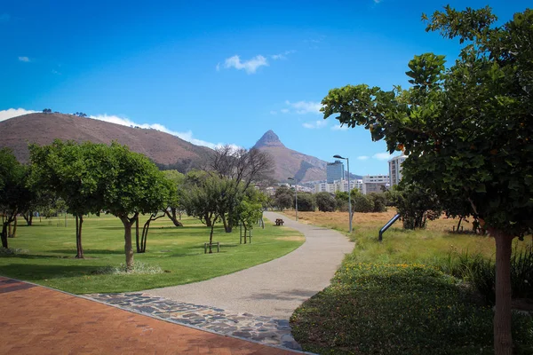 Green Point park in Cape Town, South Africa