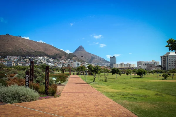 Парк Грин-Пойнт в Кейптауне, ЮАР — стоковое фото