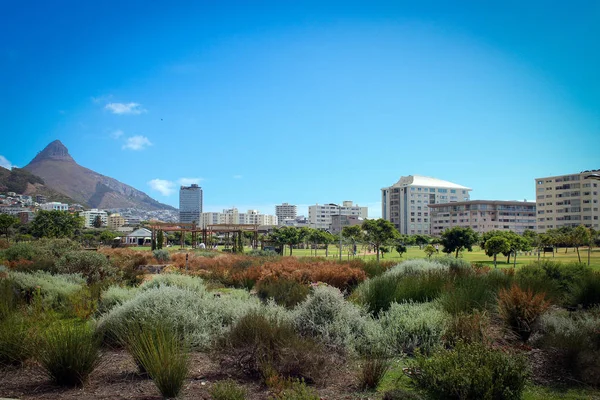 Yeşil nokta park Cape Town, Güney Afrika