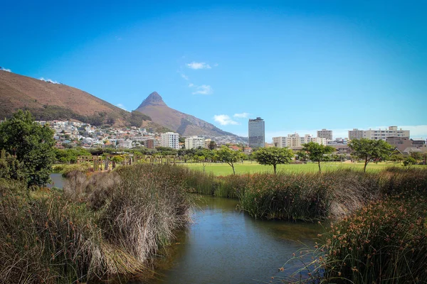 Yeşil nokta park Cape Town, Güney Afrika