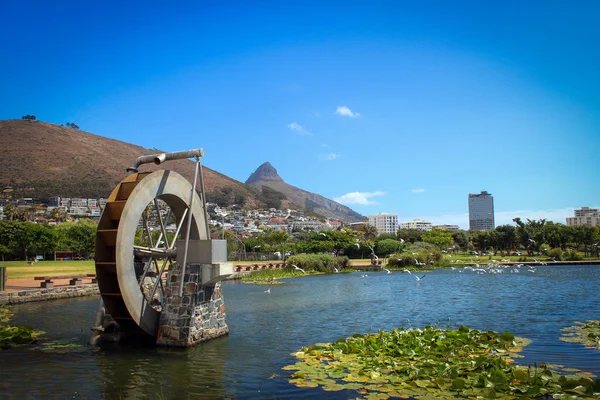 Yeşil nokta park Cape Town, Güney Afrika