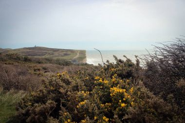 Yedi kız kardeş Milli Park, İngiltere