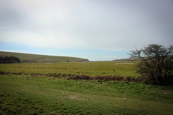 Seven Sisters national park, England — Stock Photo, Image