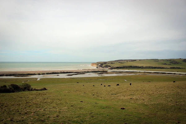 Seven sisters nationalpark, england — Stockfoto