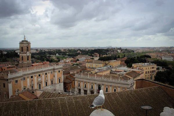 Tetti Roma Centro Storico Italia — Foto Stock