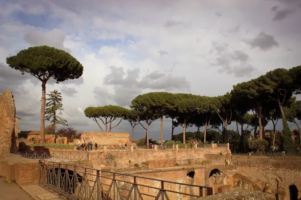 Roma kalıntıları: Forum, Rome, İtalya