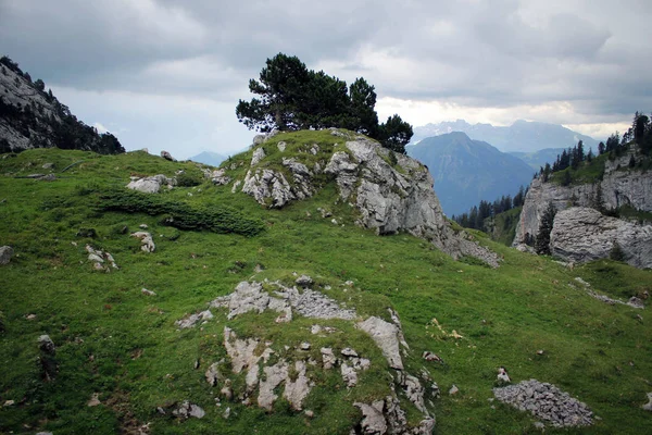 Doğal Alp peyzaj Mount Pilatus, İsviçre için yolda