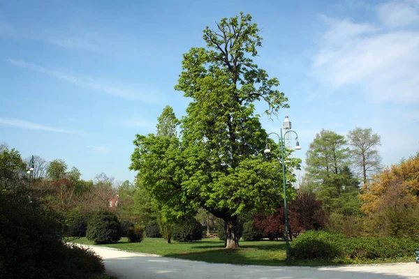 Spring Milan Italy — Stock Photo, Image