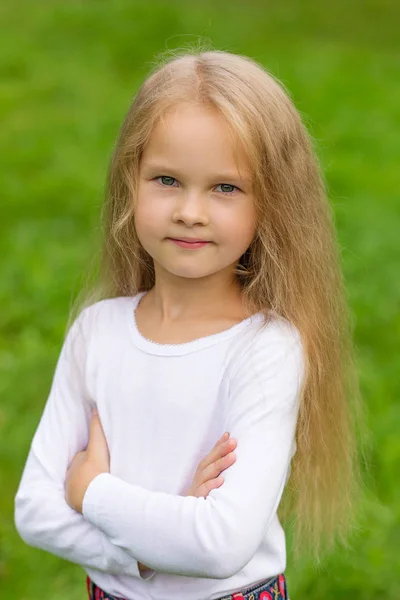 Portret van een mooi klein meisje — Stockfoto