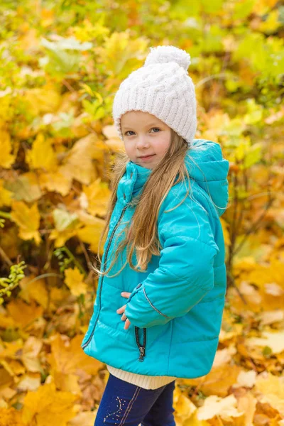 一个漂亮的女孩，在一件蓝色的外套，在户外在秋天的肖像 — 图库照片