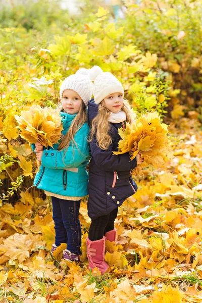 Two lovely girlfriends in autumn park — Stock Photo, Image