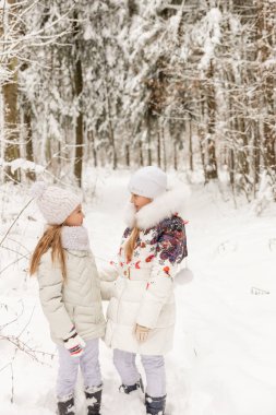 Bir kış ormanda oynayan iki kız arkadaşım. 