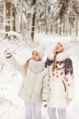 Bir kış ormanda oynayan iki kız arkadaşım. 