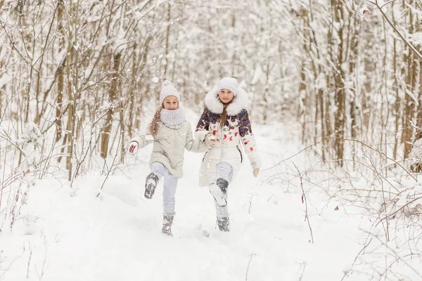 Bir kış ormanda oynayan iki kız arkadaşım. 
