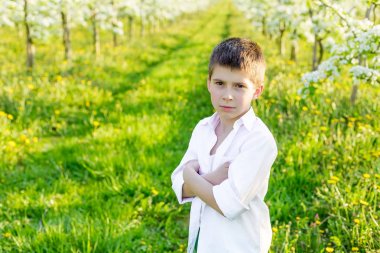 İlkbaharda çiçek açan bir bahçe içinde güzel bir çocuk. 
