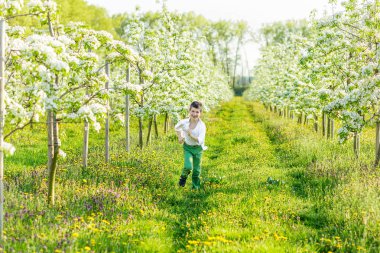 İlkbaharda çiçek açan bir bahçe içinde güzel bir çocuk. 