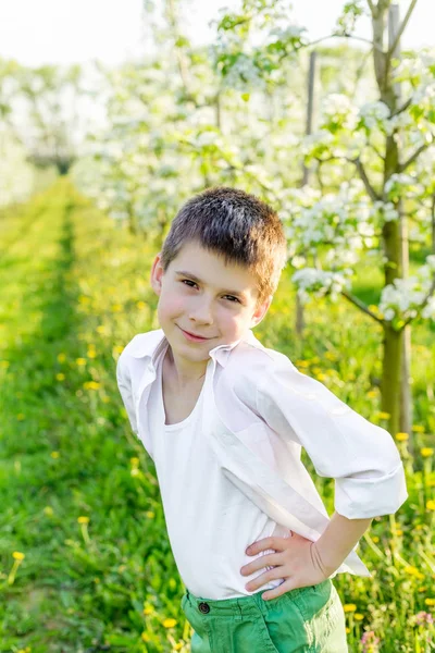 A tavasszal virágzó kert gyönyörű kisfiú. — Stock Fotó