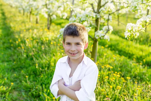 Prachtige kleine jongen in een bloeiende tuin in het voorjaar. — Stockfoto