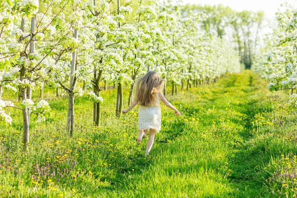 Ein hübsches kleines Mädchen läuft durch einen blühenden Garten in den — Stockfoto