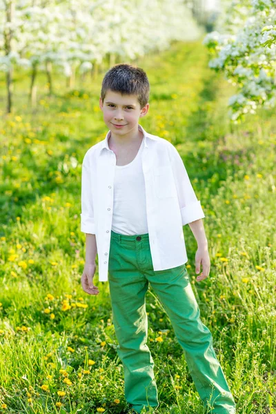 Beau petit garçon dans un jardin fleuri au printemps . — Photo