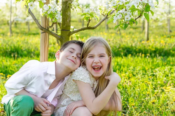 Мальчик и девочка отдыхают в цветущем саду весной — стоковое фото