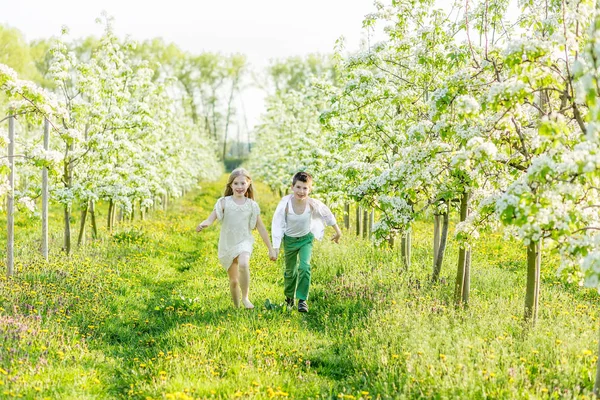 Ein Junge und ein Mädchen ruhen sich im Frühling in einem blühenden Garten aus — Stockfoto