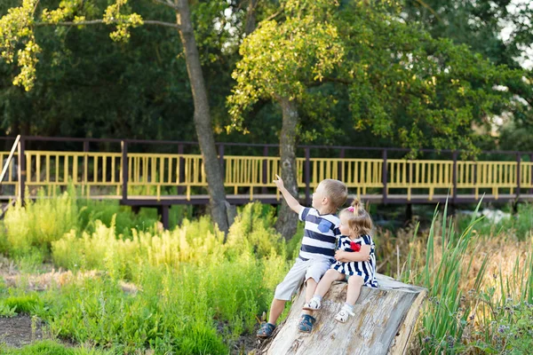 Bruder und Schwester ruhen sich in der Natur aus — Stockfoto