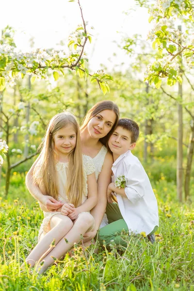 Krásná mladá rodina v kvetoucí jarní zahrada. — Stock fotografie