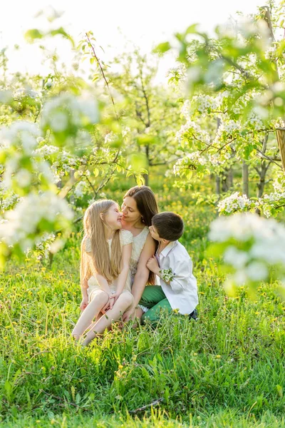 Hermosa familia joven en un floreciente jardín de primavera . —  Fotos de Stock