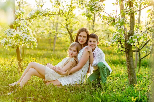 Hermosa familia joven en un floreciente jardín de primavera . —  Fotos de Stock
