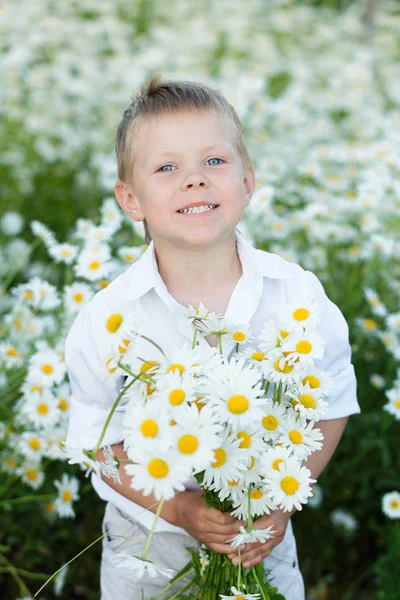Een jongen blauwogige is permanent in een veld van daisy — Stockfoto