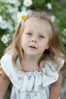 Papatya alan küçük bir kız