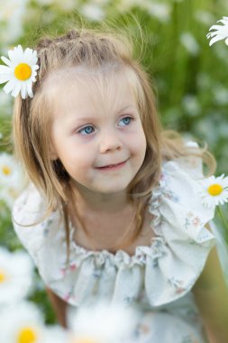 Papatya alan küçük bir kız