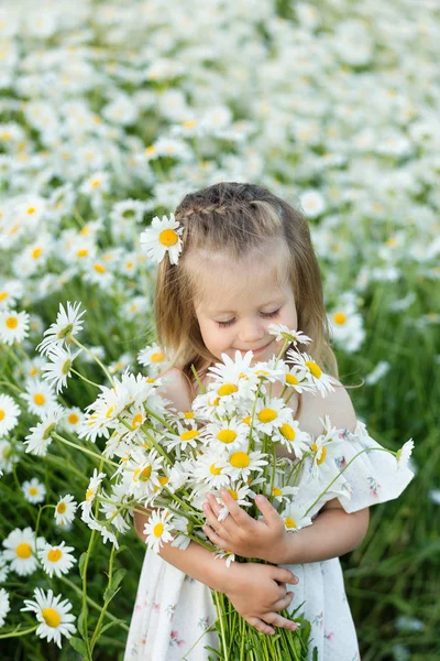 Una niña en un campo de manzanilla — Foto de Stock